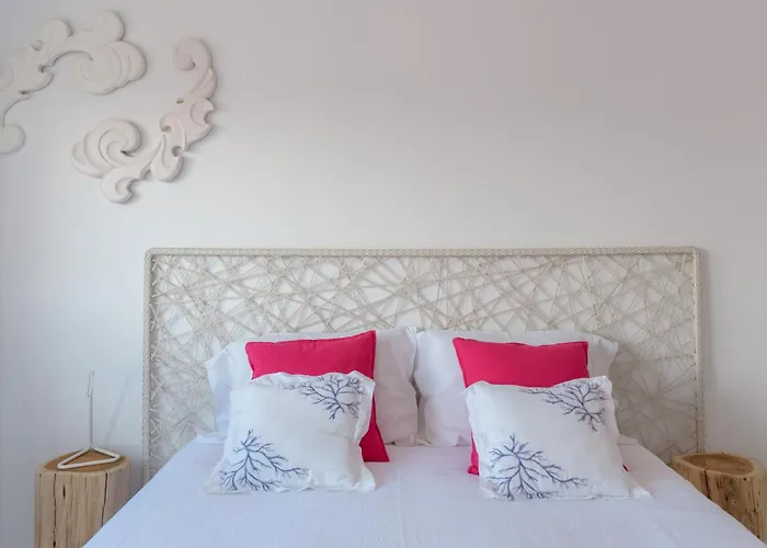 Vegan Topfloor - Douro E Ribeira