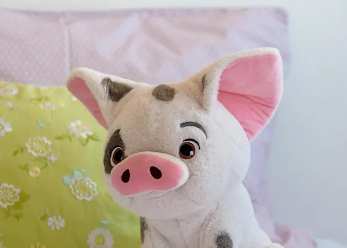 Apartament Vegan Topfloor - Douro E Ribeira *