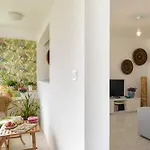 Vegan Topfloor - Douro E Ribeira *