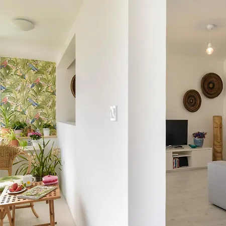 Vegan Topfloor - Douro E Ribeira *