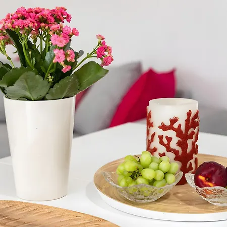 Vegan Topfloor - Douro E Ribeira