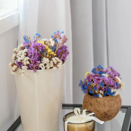 Appartement Vegan Topfloor - Douro E Ribeira