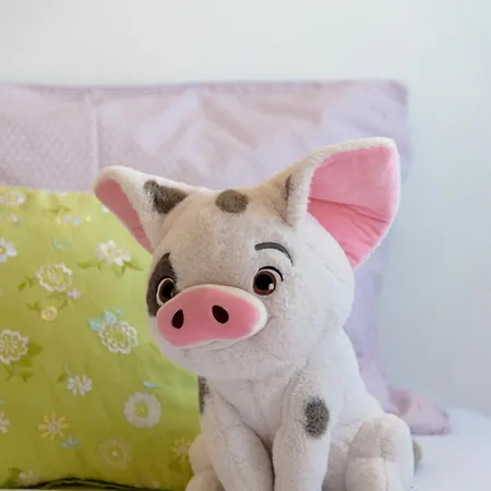 Appartement Vegan Topfloor - Douro E Ribeira *