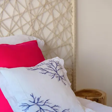 Vegan Topfloor - Douro E Ribeira *