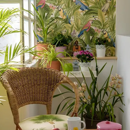 דירה Vegan Topfloor - Douro E Ribeira וילה נובה דה גאיה
