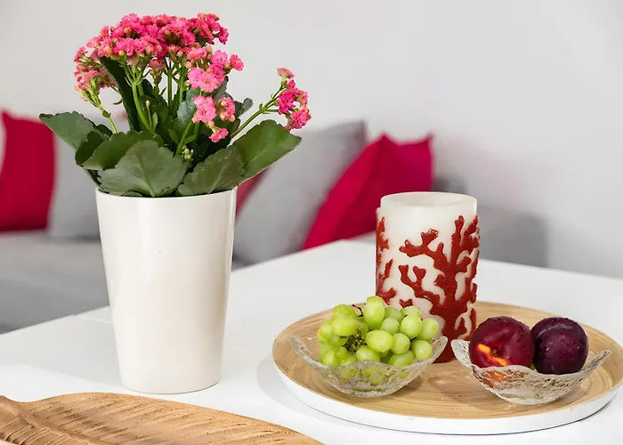 Vegan Topfloor - Douro E Ribeira