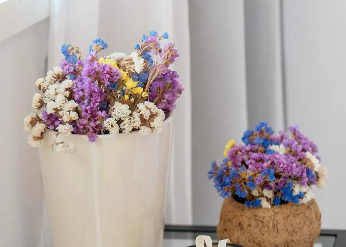 Apartment Vegan Topfloor - Douro E Ribeira